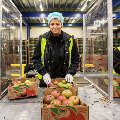 Blijven Poolse arbeiders weg uit Westland door aangepaste wet? 