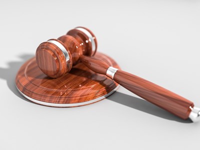 Law on the Admission of Workers to Employment